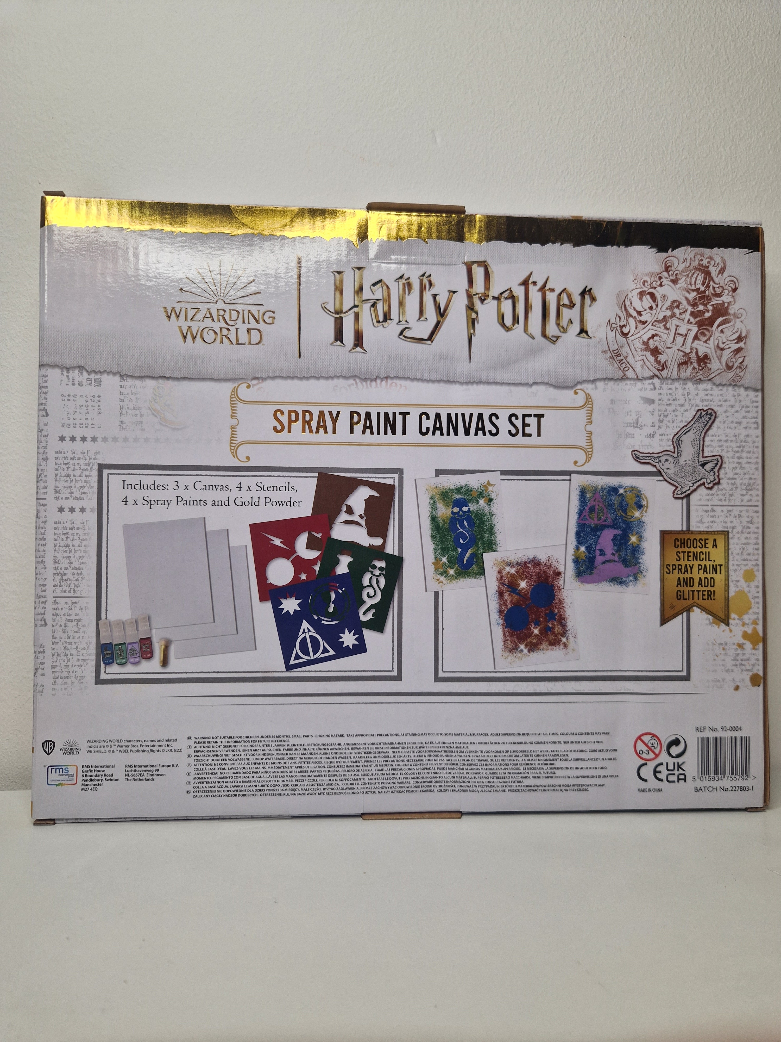 Harry Potter Spray Paint Canvas Set