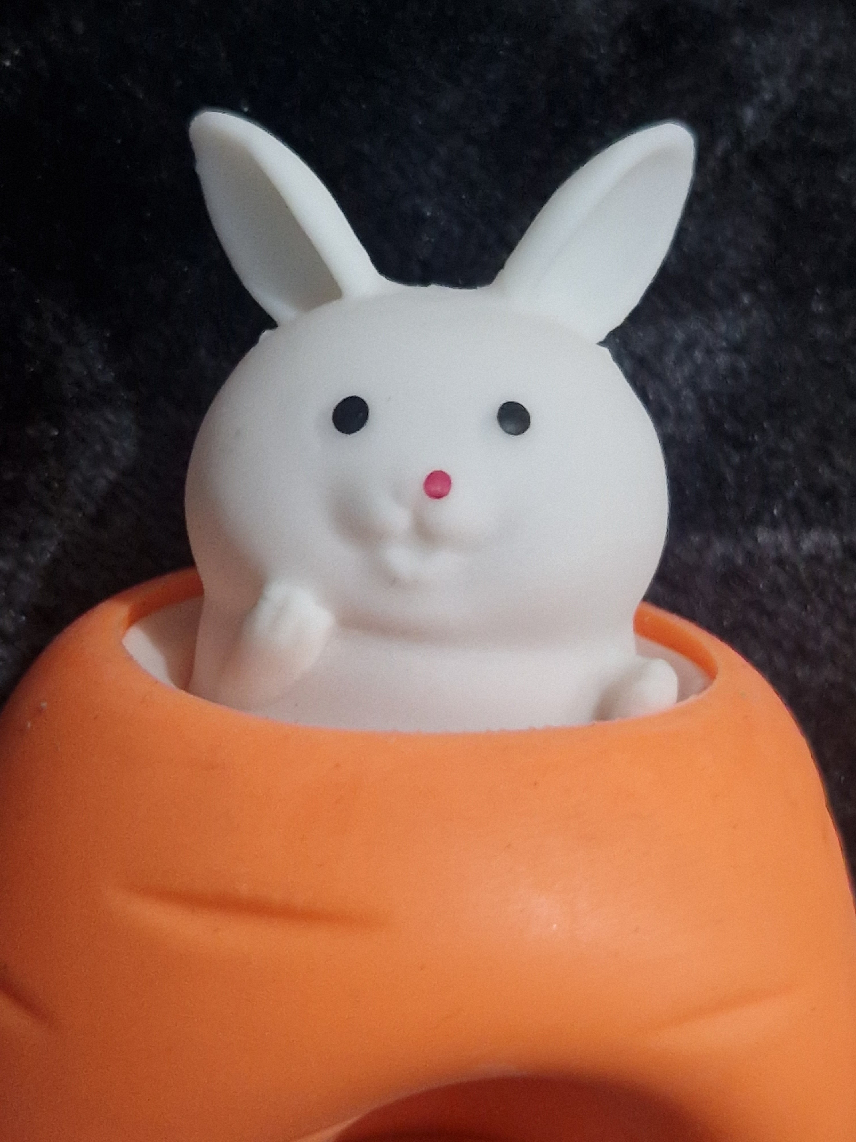 Bunny Bop Pop-Up